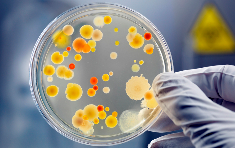 Illustration for article titled Why Brewers Are DNA-Testing Beer for Bacterial Infections
